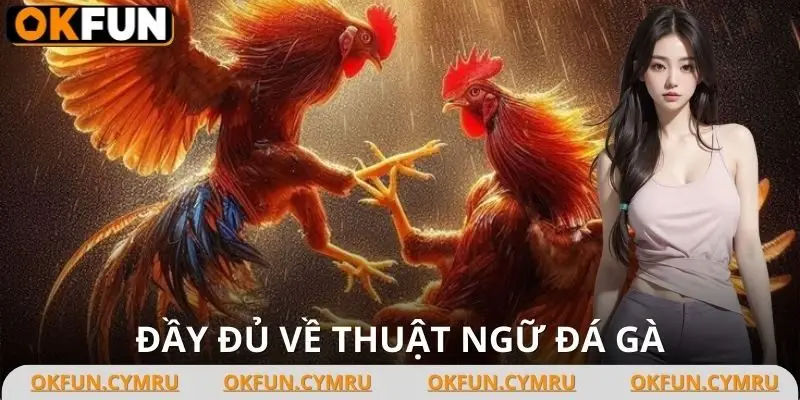 Danh sách thuật ngữ đá gà phổ biến dành cho kê thủ