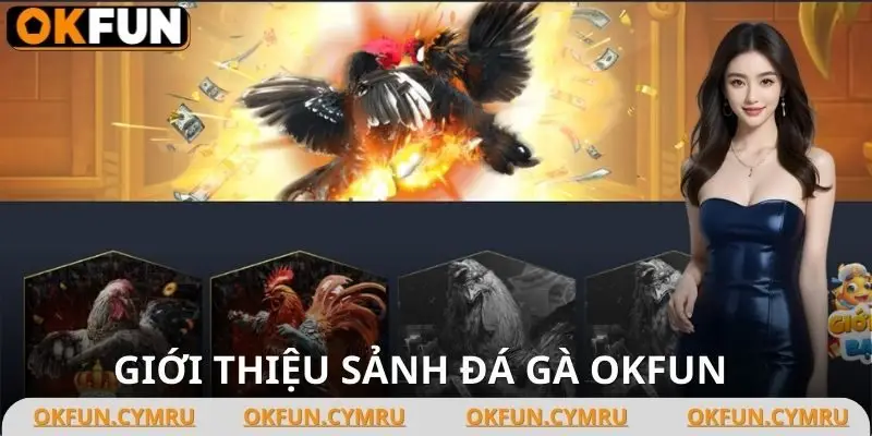 Đá gà OKFUN vừa giải trí vừa kiếm tiền