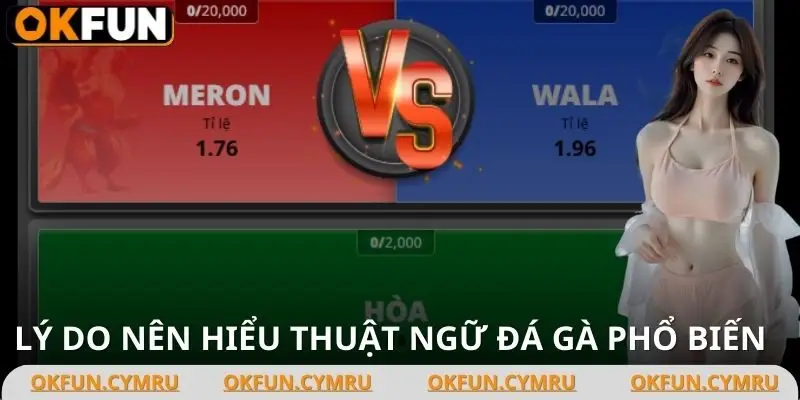 Hiểu rõ các từ chuyên môn, bạn sẽ càng dễ đưa ra những quyết định sáng suốt