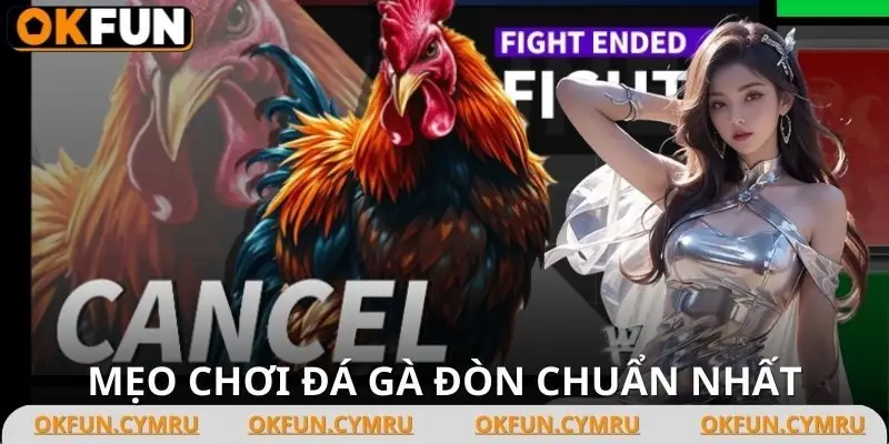 Lịch sử đấu sẽ giúp bạn đưa ra những dự đoán chuẩn xác