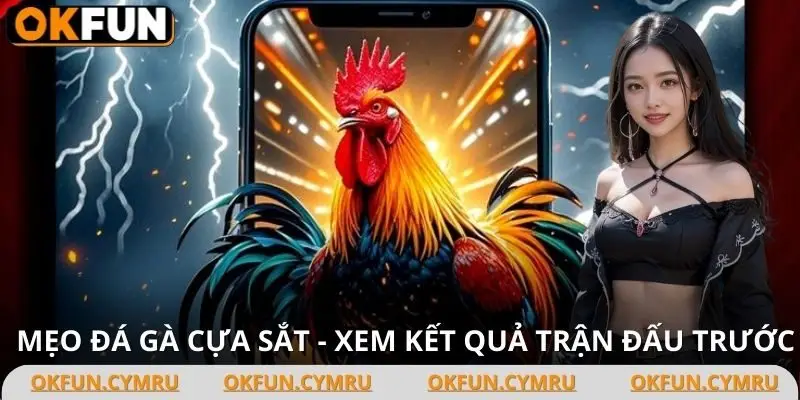 Luôn xem lại là phân tích lịch sử đấu trước đó là mẹo đá gà cựa sắt đỉnh cao