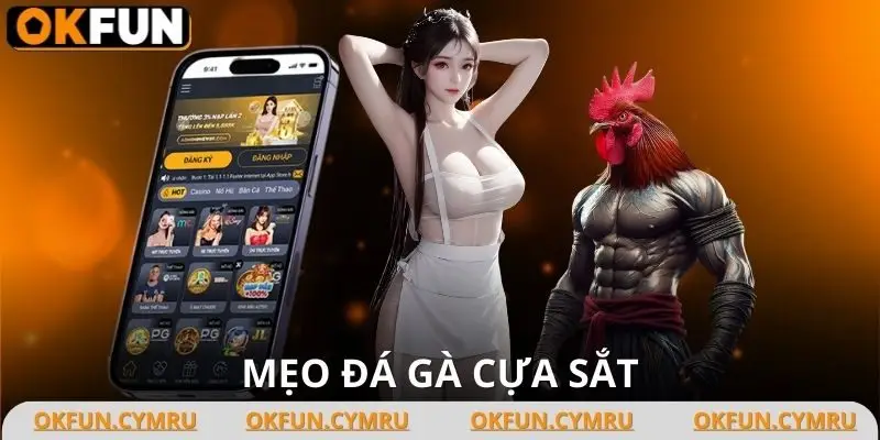 Mẹo Đá Gà Cựa Sắt